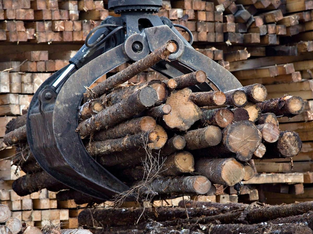 Quebec Forest Industry Already Under Pressure Amid Trump Tariff Threat: Legault