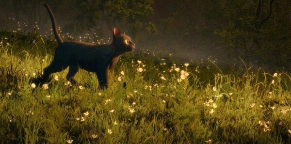 ‘Flow’: A Wonderful Animated Family Adventure