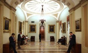 Can the New Appointees Do Their Jobs?