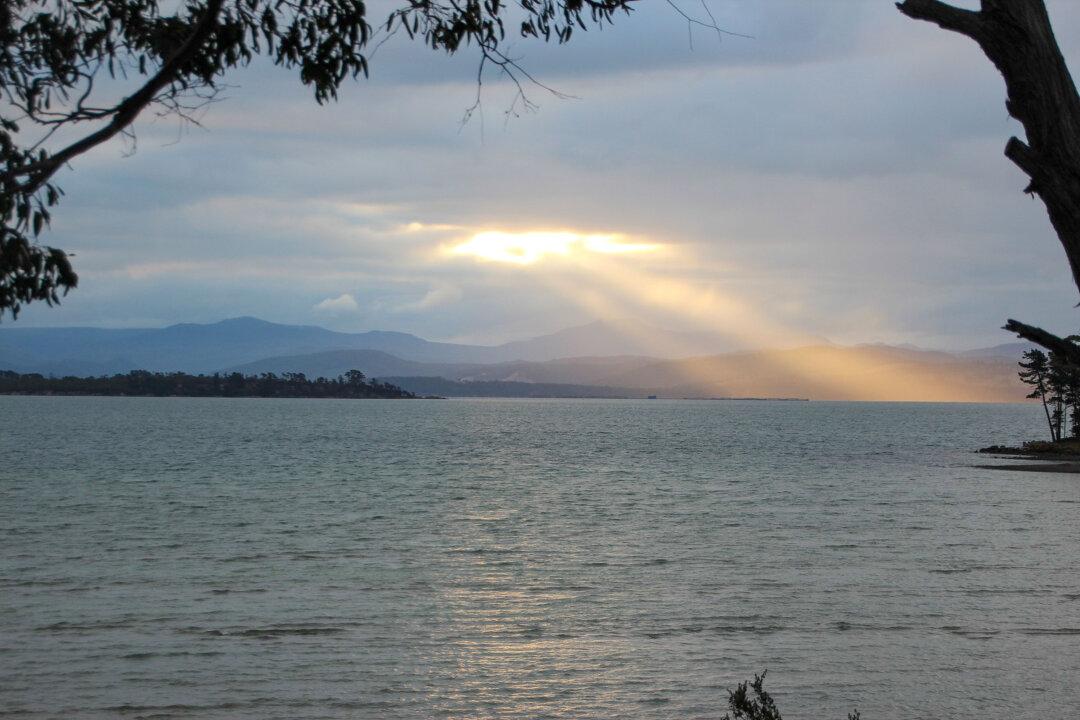 Three Inspiring Poems by Living Poets