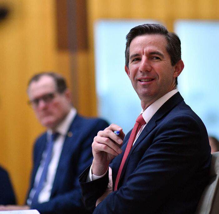 Simon Birmingham Heads to ANZ Bank After Exiting Politics