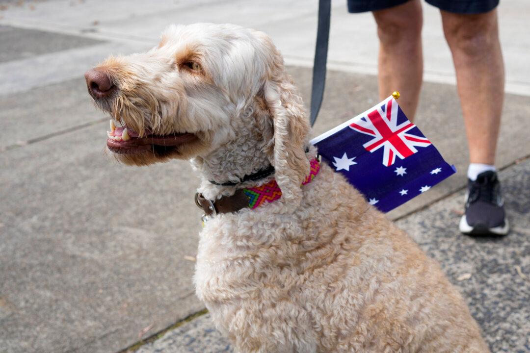 Indigenous Researcher Says Australia Day Is Not Disrespectful to Aboriginals