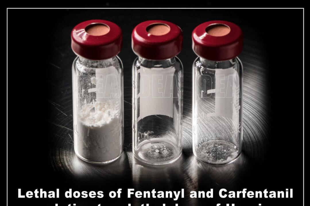 A comparison of the lethal doses of heroin, carfentanil, and fentanyl. Law enforcement reports say carfentanil, which largely disappeared from the United States in recent years, is reappearing as the fentanyl supply faces pressure in China and intensified operations targeting narco-terrorists. (U.S. Drug Enforcement Administration)