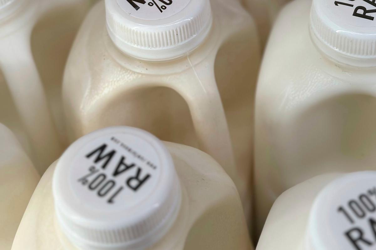 USDA Orders Raw Milk Samples to Be Tested for Bird Flu thumbnail