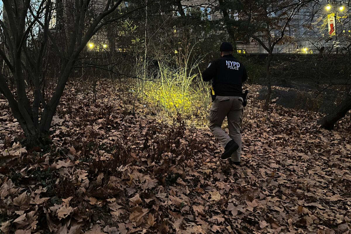 A New York City police officer walks through brush and foliage in Central Park near 64th Street and Central Park West in New York on Dec. 6, 2024, while searching for a backpack police believe was dropped in the park by the person suspected of killing UnitedHealthcare CEO Brian Thompson on Dec. 4, 2024. (Ted Shaffrey/AP Photo)