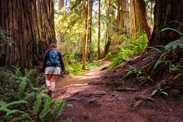 What Is the ‘20-5-3′ Rule and How Can It Boost Your Well-Being?