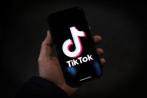 Court Denies TikTok Request to Delay Ban