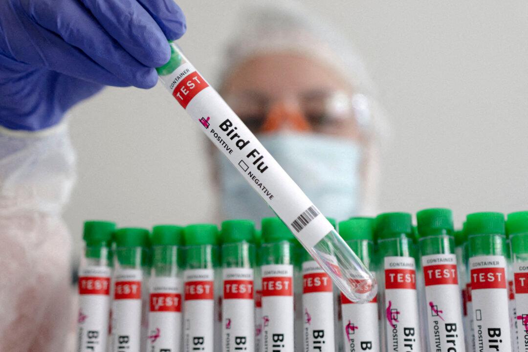 CDC Confirms 1st Severe US Case of Bird Flu In Louisiana