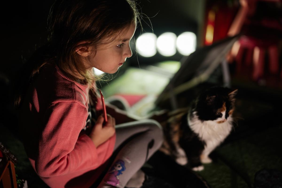 Prepare Your Pets for Natural Disasters