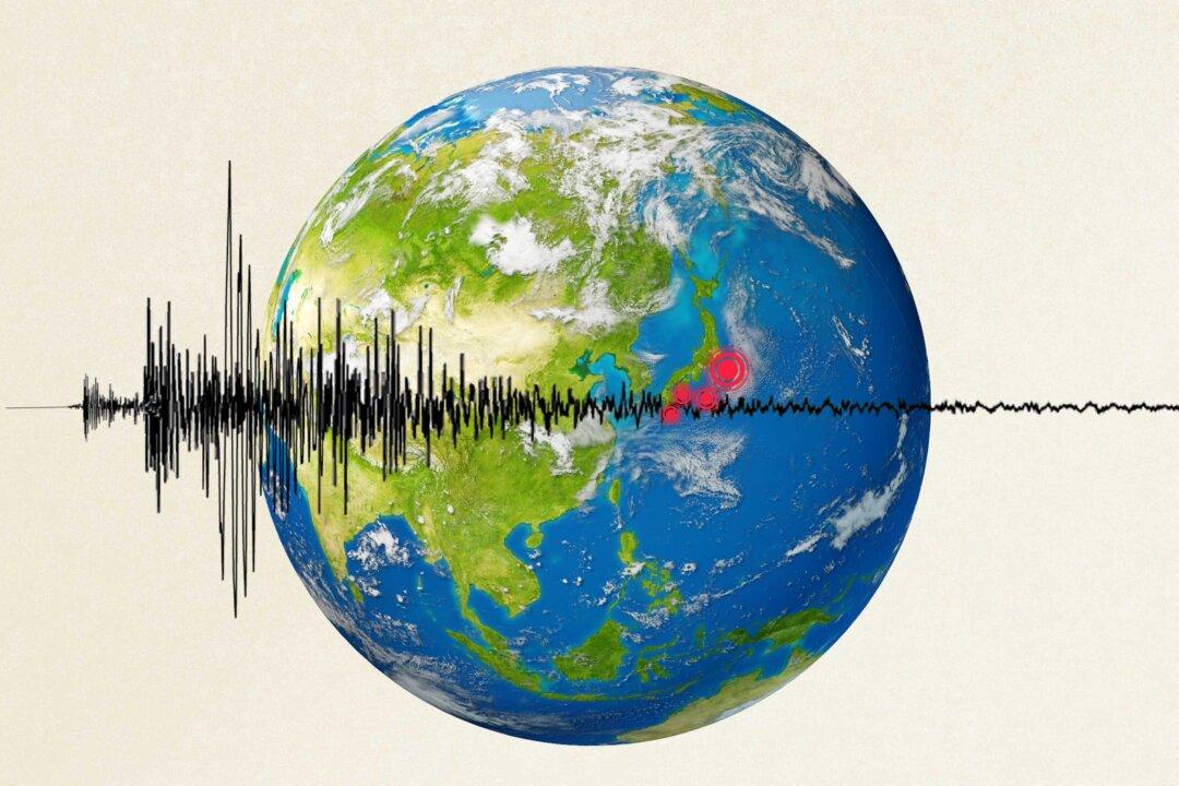 Major Earthquake Preparedness: Response Strategies for Different Scenarios
