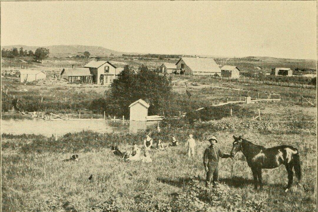 ‘O Pioneers!’ Demonstrates That Love Can Abide Despite Loneliness