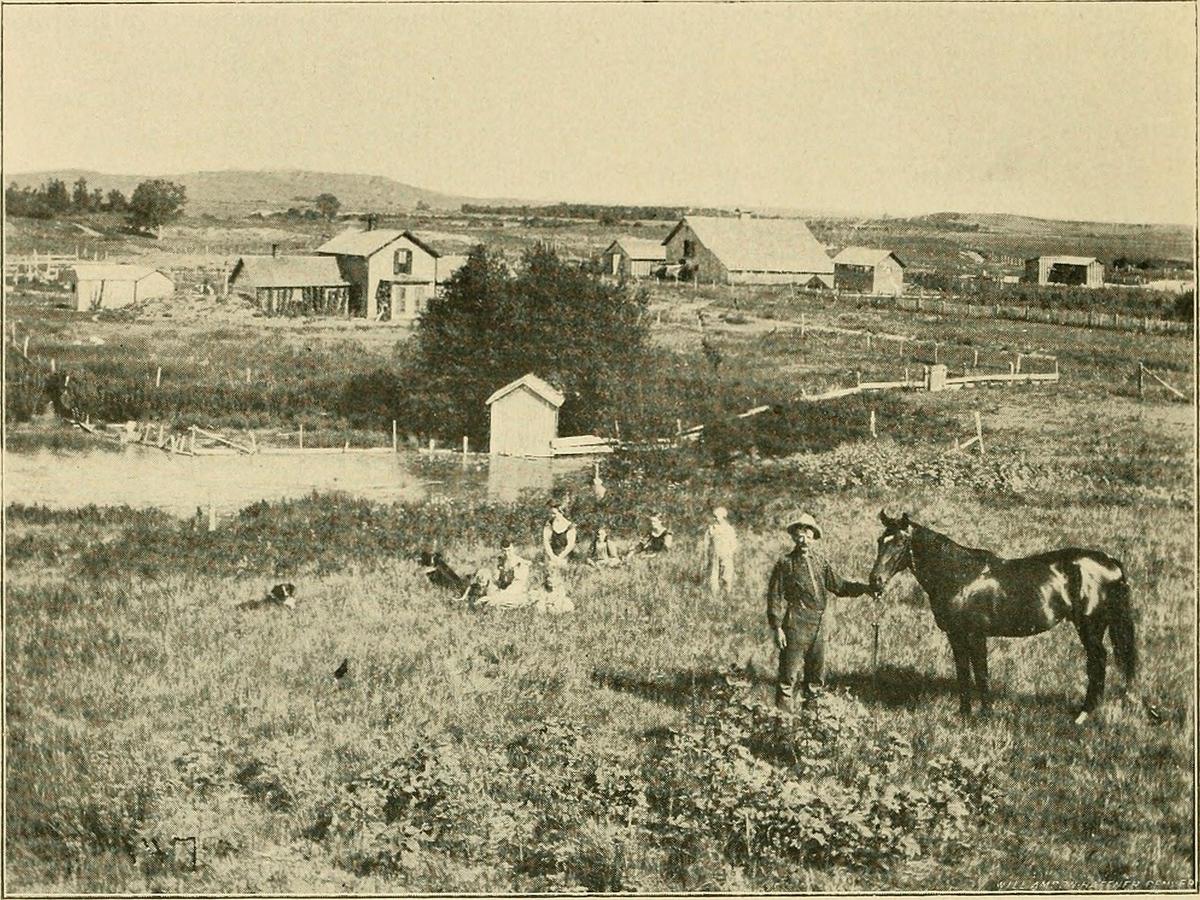 ‘O Pioneers!’ Demonstrates That Love Can Abide Despite Loneliness