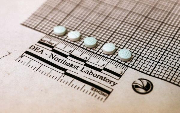 The tablets suspected to be fentanyl will be placed on the graph for size measurements at the Narcotics Enforcement Officer Northeast Regional Studies Institute in New York on October 8, 2019 (Don Emmert/AFP via Getty Images)