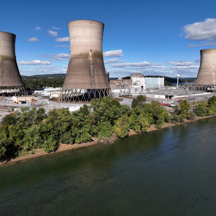 Constellation to Buy Calpine in Landmark Power Acquisition