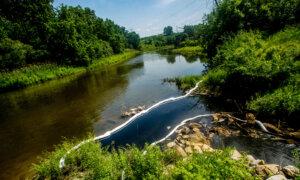 Company Official Charged in 2022 Oil-Chemical Discharge Into Michigan’s Flint River