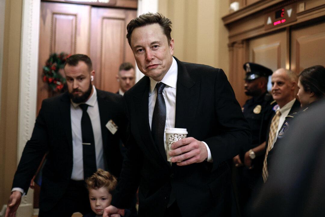 Elon Musk’s Upcoming Live Interview With Germany’s AfD Leader Triggers EU Calls for Intervention
