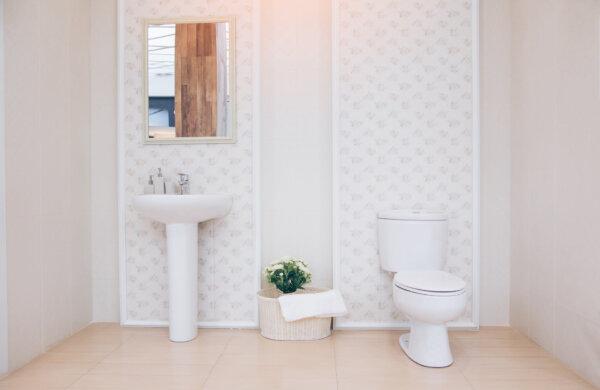 Replace Old Toilet With Stylish One