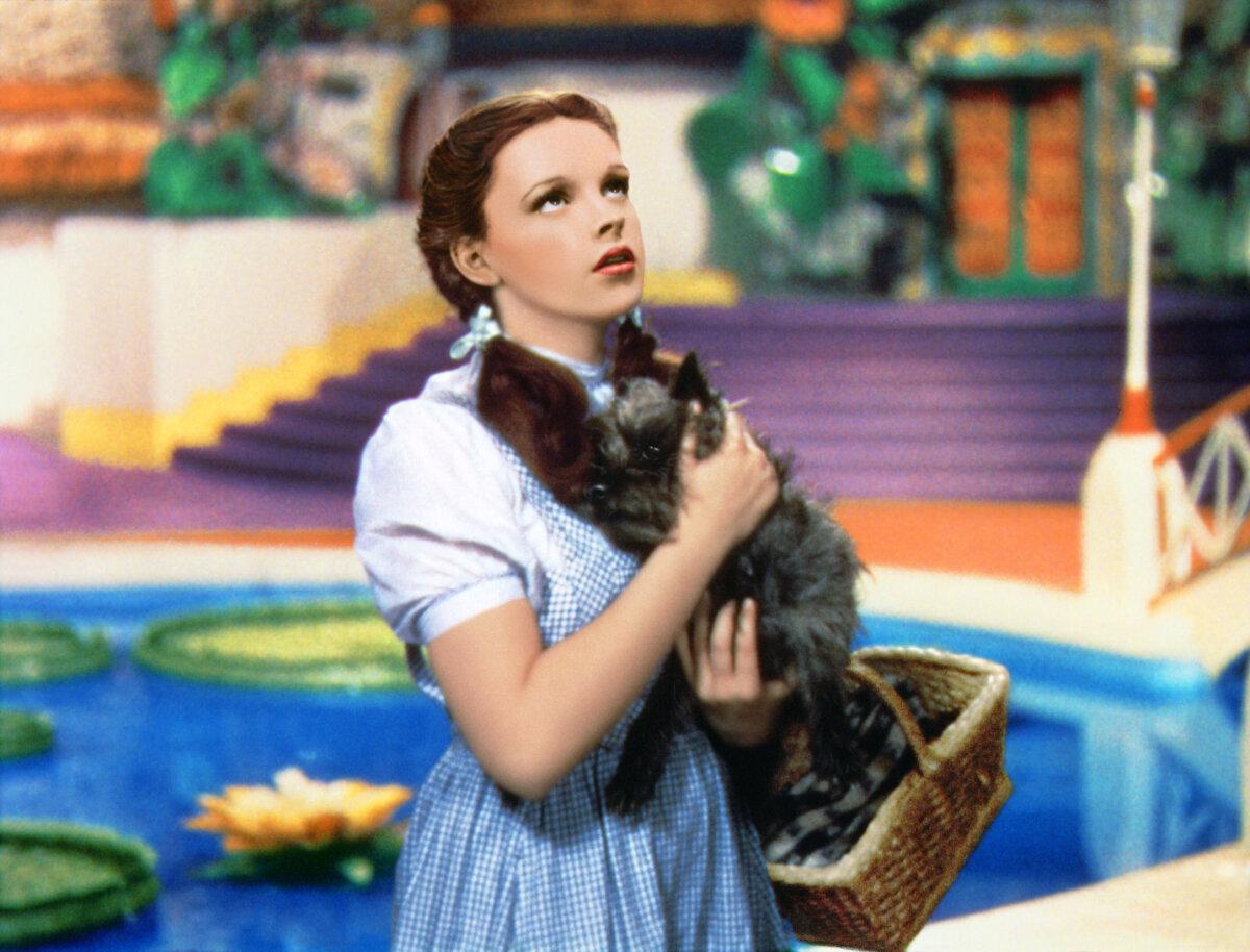 The scene where Dorothy (Judy Garland) proclaims: "Toto, I've a feeling we're not in Kansas anymore," in "The Wizard of Oz." (MovieStillsDB)