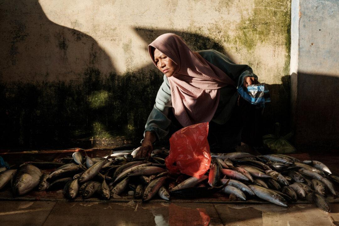 Day in Photos: Impeachment in South Korea, Parliament Dissolved in Germany, and Fishing in Indonesia