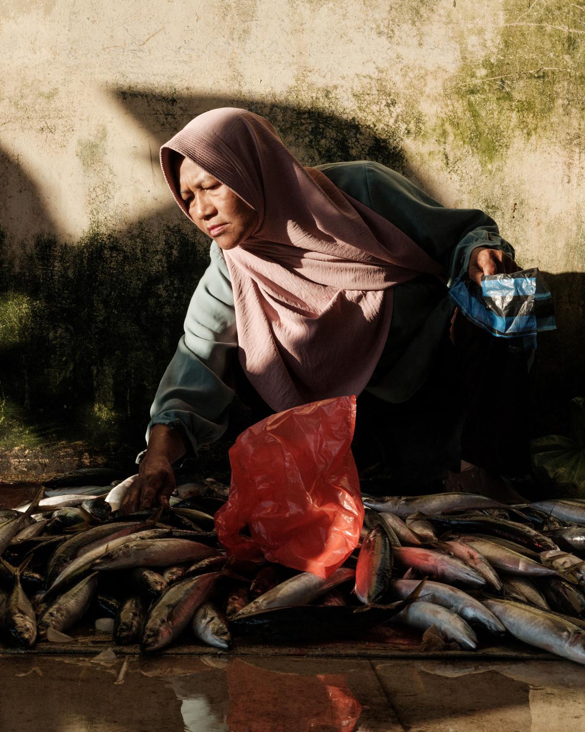 Day in Photos: Impeachment in South Korea, Parliament Dissolved in Germany, and Fishing in Indonesia