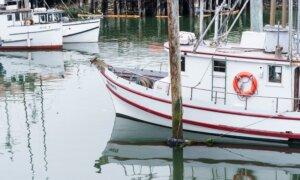 California to Keep Commercial Salmon Fishing Closed for 3rd Year