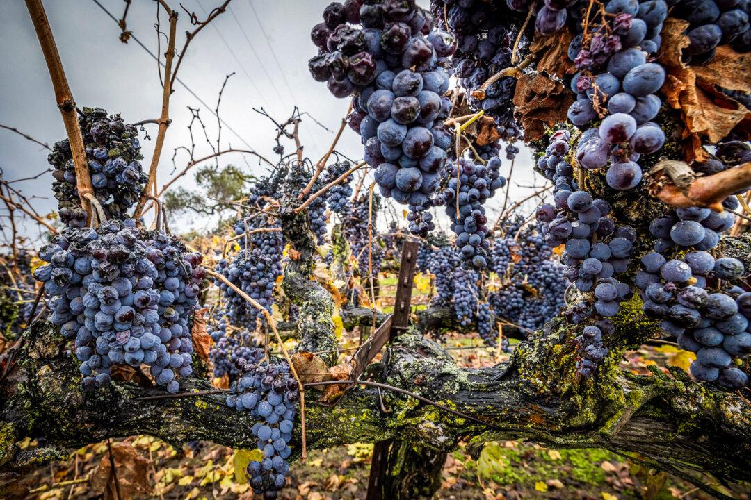 Tariffs Could Be a Win for California’s Battered Wine Industry