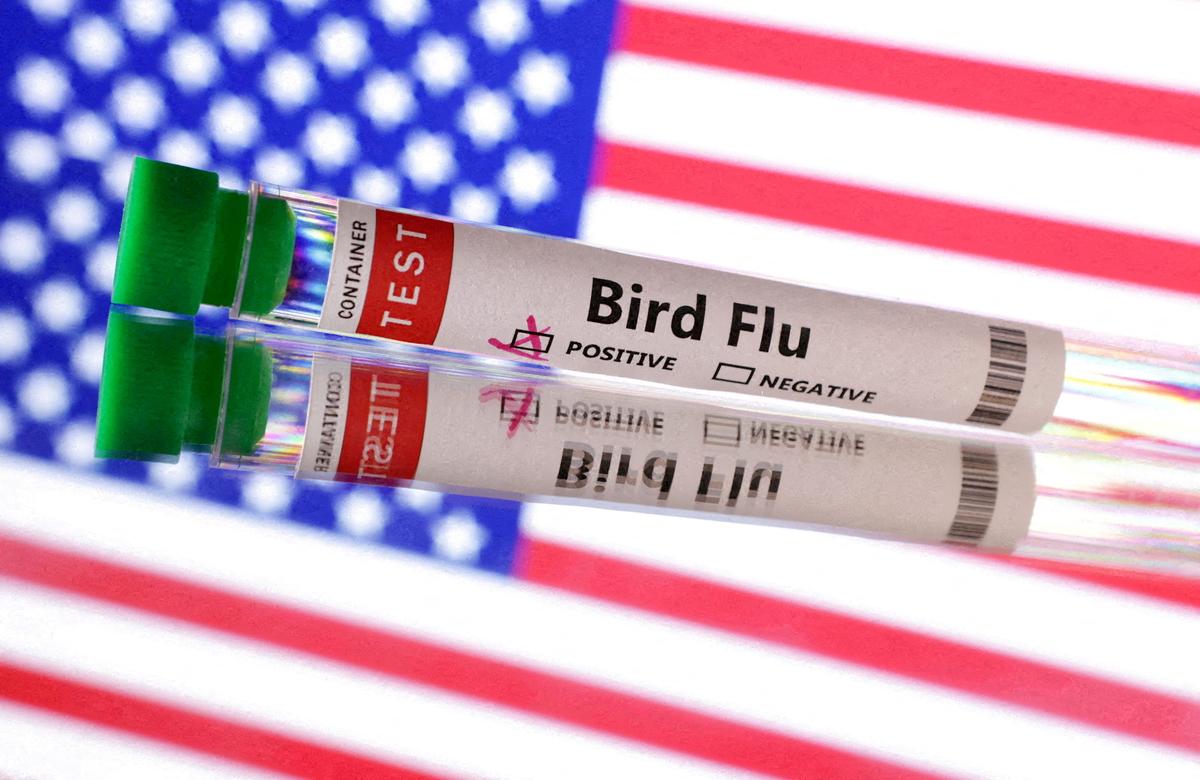 Bird Flu Detected in Mississippi Poultry
