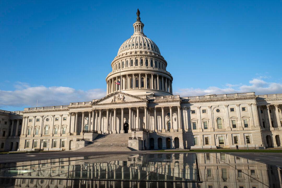 Meet the New Senators Entering Congress