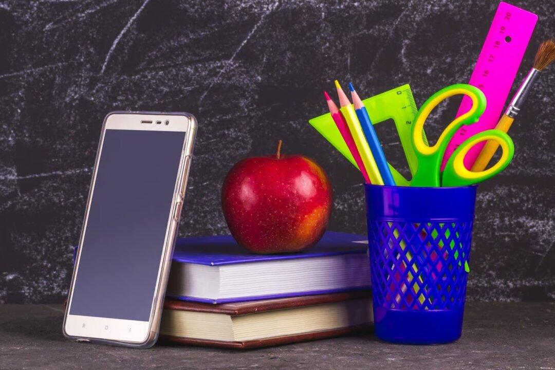 The Banalization of Education