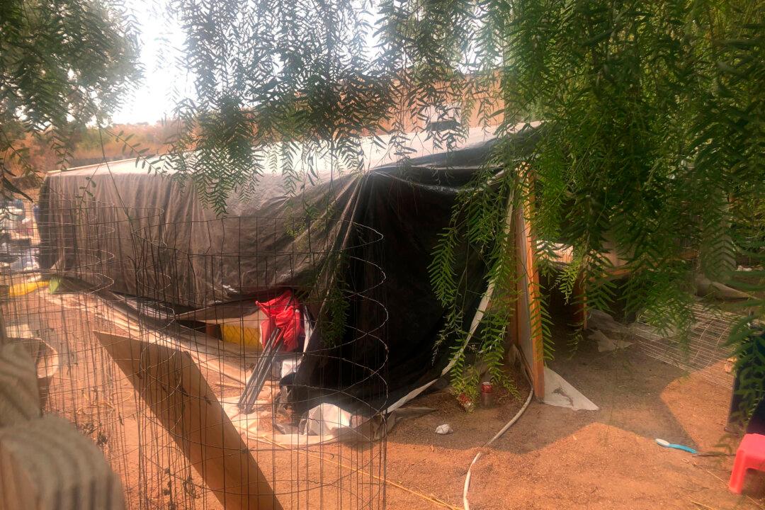 Authorities Suspect Gang Members Killed 7 Workers at California Marijuana Farm in 2020