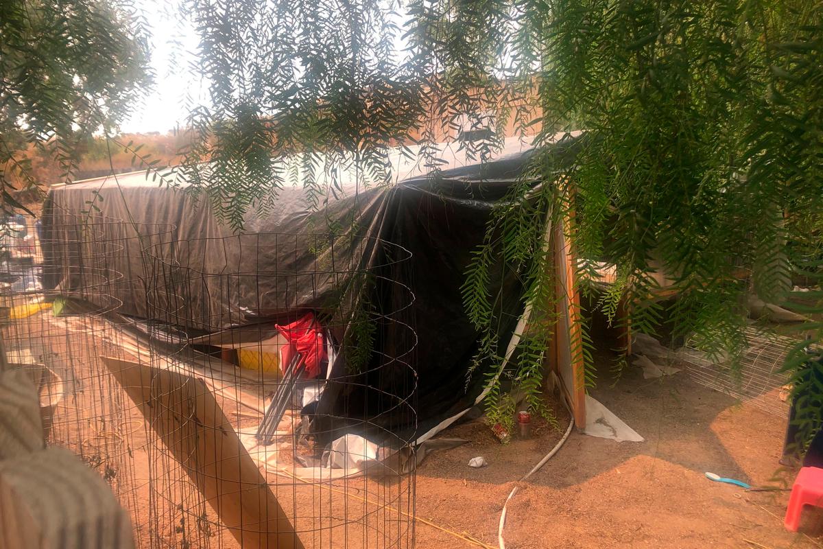 Authorities Suspect Gang Members Killed 7 Workers at California Marijuana Farm in 2020