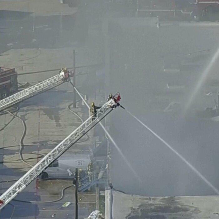 Hundreds of Animals Killed in Dallas Shopping Center Fire