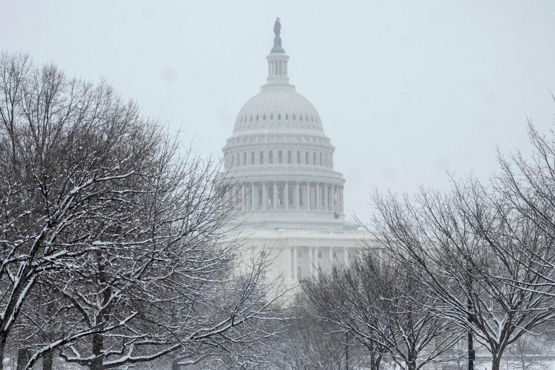 Heavy Snow to Hit Washington on Jan. 6, Congresswoman Issues Warning