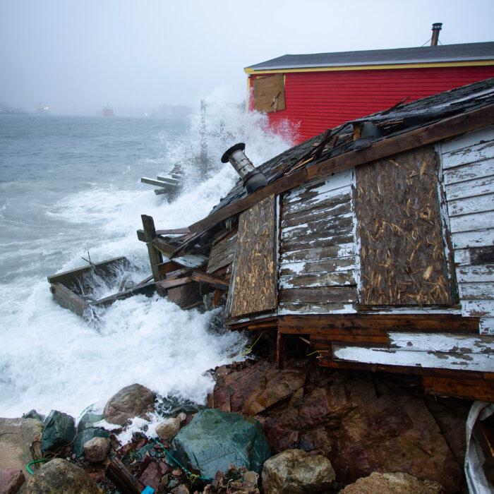 Thousands Without Power Due to Winter Storm Hitting Newfoundland and Labrador