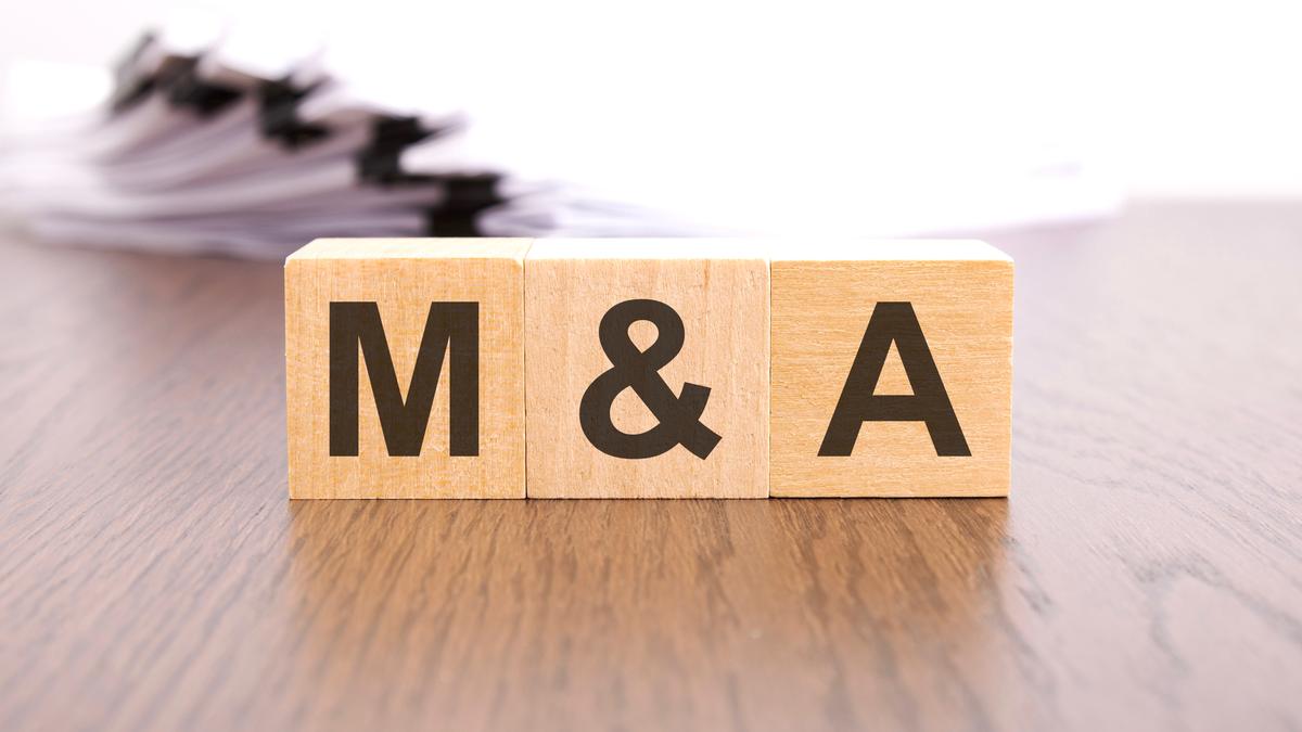 Mergers and Acquisitions Will Accelerate in 2025, With Tech Deals Leading the Way, Analysts Say