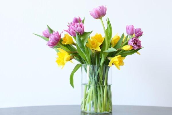 A mixture of water, sugar, and vinegar can be used to extend the lives of cut flowers. (Olga_Berezhna/Shutterstock)