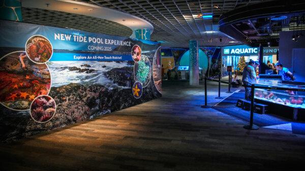 What’s Coming to Florida in 2025: A New Theme Park, Huge Planetarium, and Free Disney Water Parks