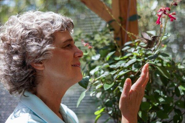 ‘Every Little Thing’: A Profile of a Woman Who Rescues Hummingbirds