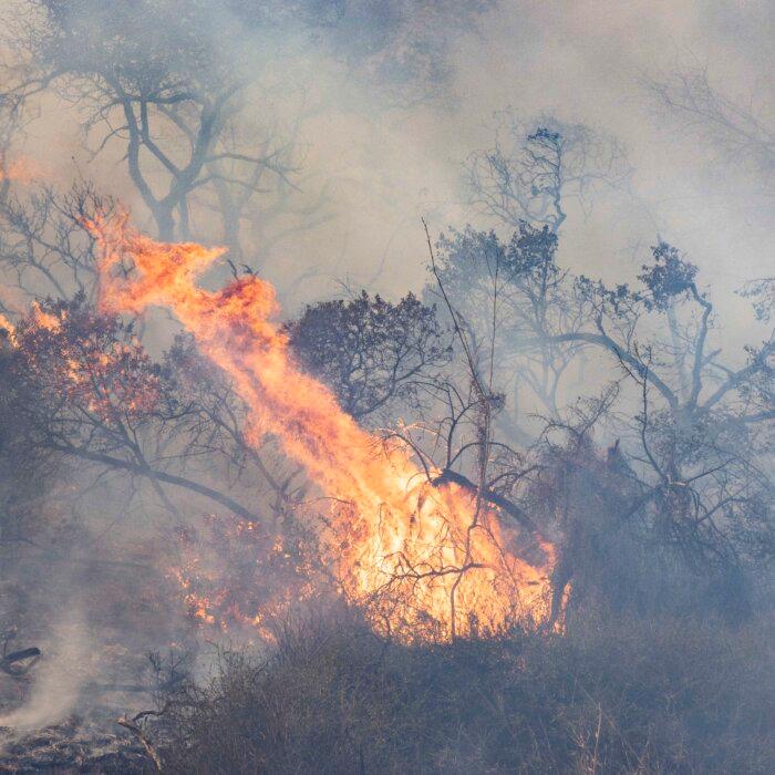 Firefighters Battle New Archer Fire Amid Evacuation Warning