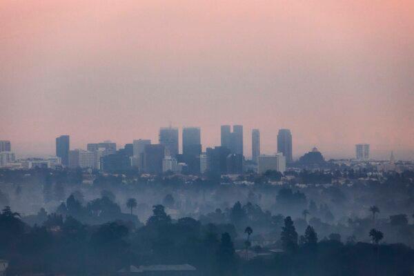 Burned trees and wildfire smoke from the Palisades Fire are seen from Will Rogers State Park with downtown Los Angeles in the distance, in the Pacific Palisades neighborhood of Los Angeles on Jan. 9, 2025. (Apu Gomes/Getty Images)