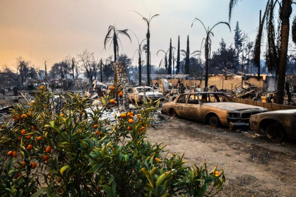 Cars and homes destroyed by the Eaton Fire in Altadena, Calif., on Jan. 9. (Zoë Meyers/AFP via Getty Images)