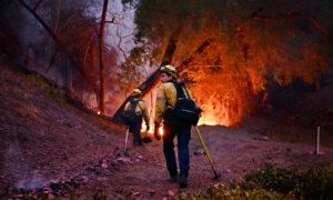 LA Fire Death Toll Rises to 24 as Authorities Expand Evacuations, Brace for Windy Days Ahead