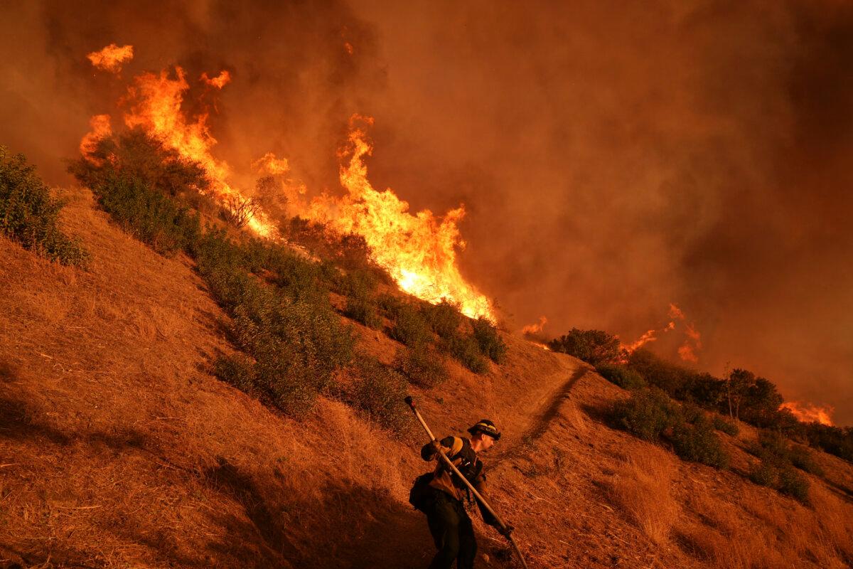 A firefighter battles the Palisades Fire in Mandeville Canyon, Los Angeles on Jan. 11, 2025. (Jae C. Hong/AP Photo)