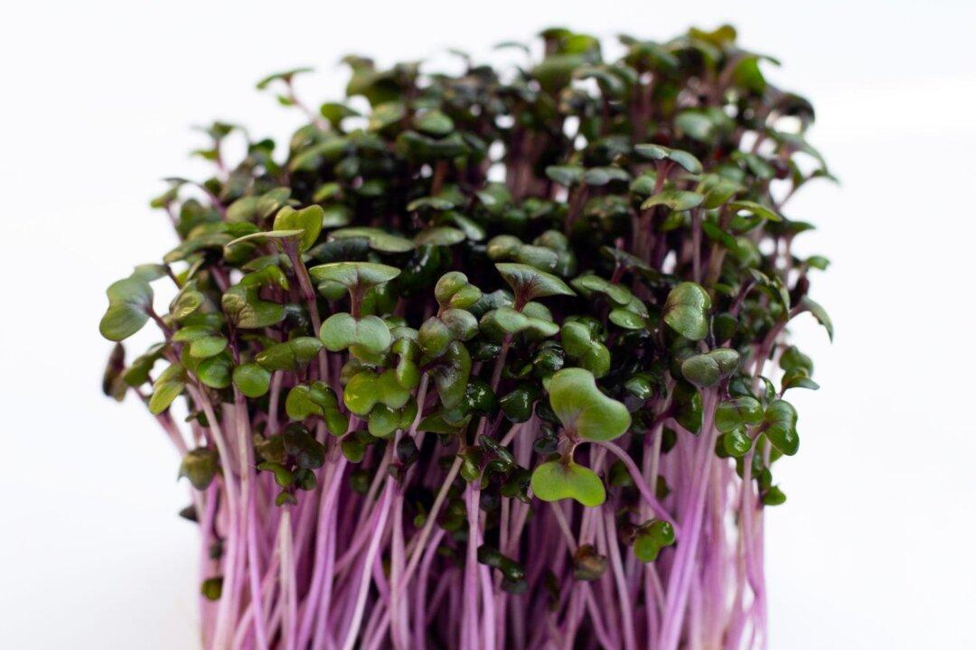 Treating Hepatitis B Naturally: A TCM Doctor’s Recovery With Sprouts