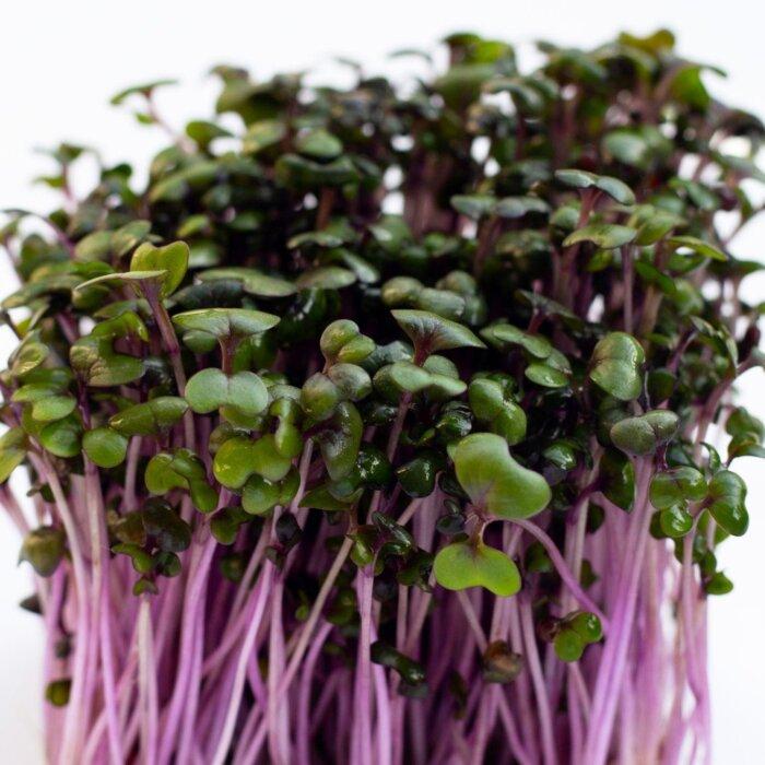 Healing Hepatitis B Naturally: A TCM Doctor’s Remarkable Recovery With Sprouts