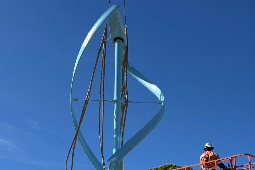 New Bird-Friendly ‘Vertical’ Wind Turbine Ready for Trials