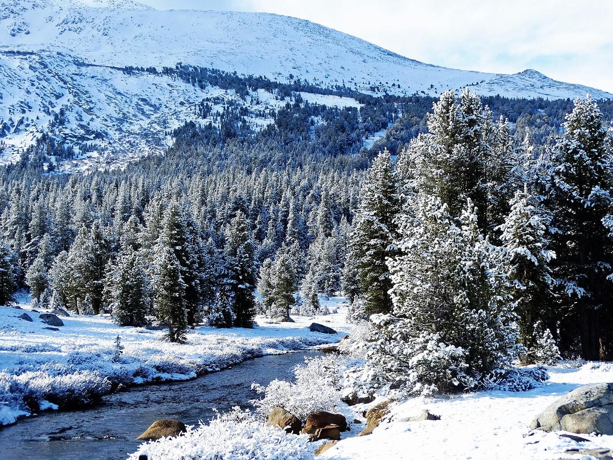 A snowy scene awaits lucky winter visitors to Yosemite's Tioga Pass. (Don Graham/CC BY-SA 2.0)