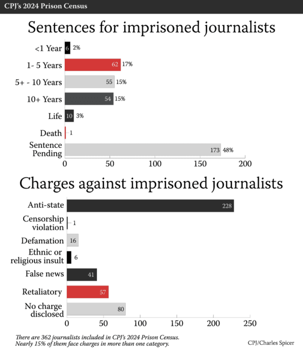 The nature of the charges against journalists detained around the world in 2024. (Courtesy of the Committee to Protect Journalists)