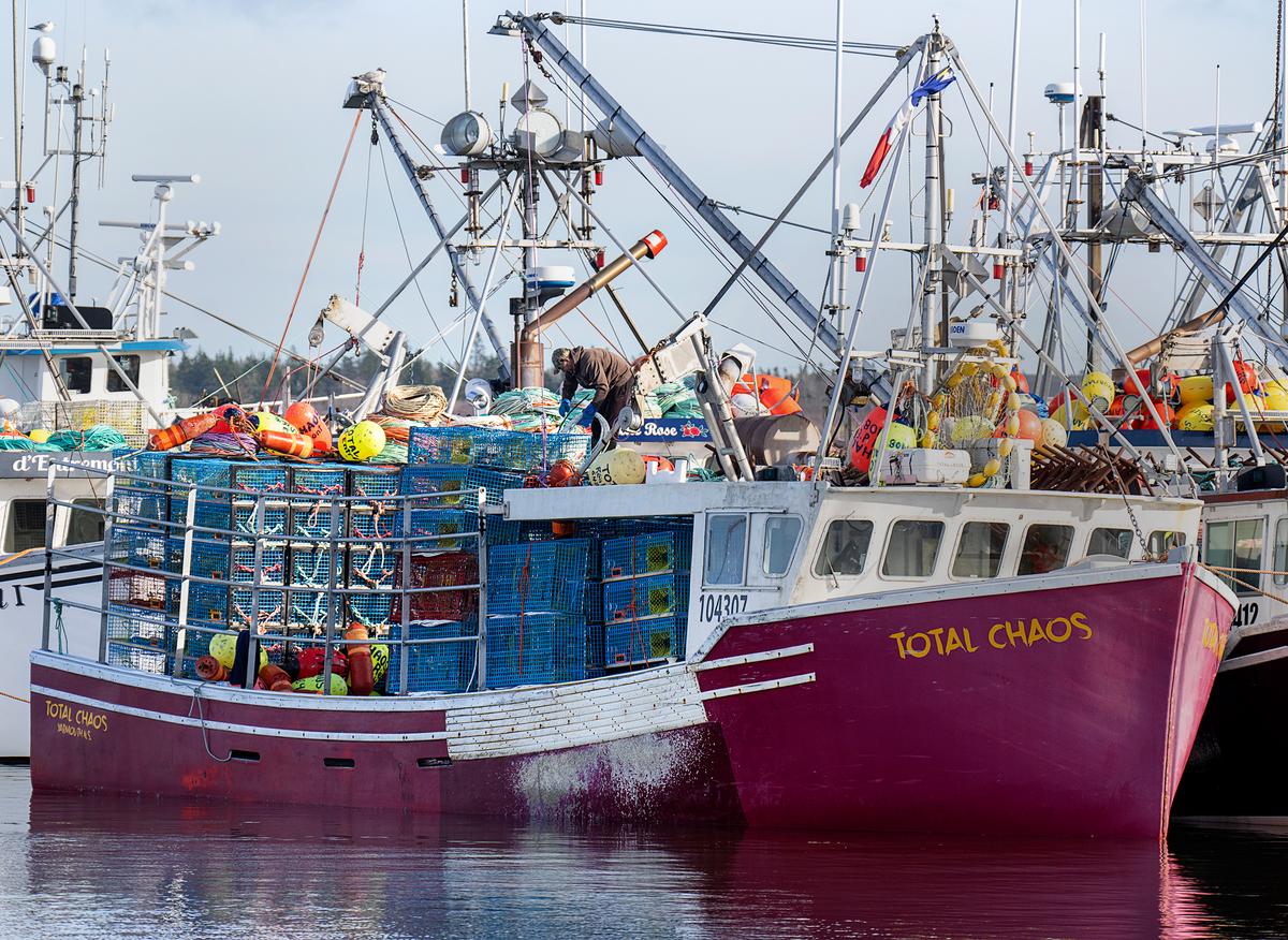 As Trump Takes Power, Atlantic Canadian Seafood Firms Look to Diversify Export Market