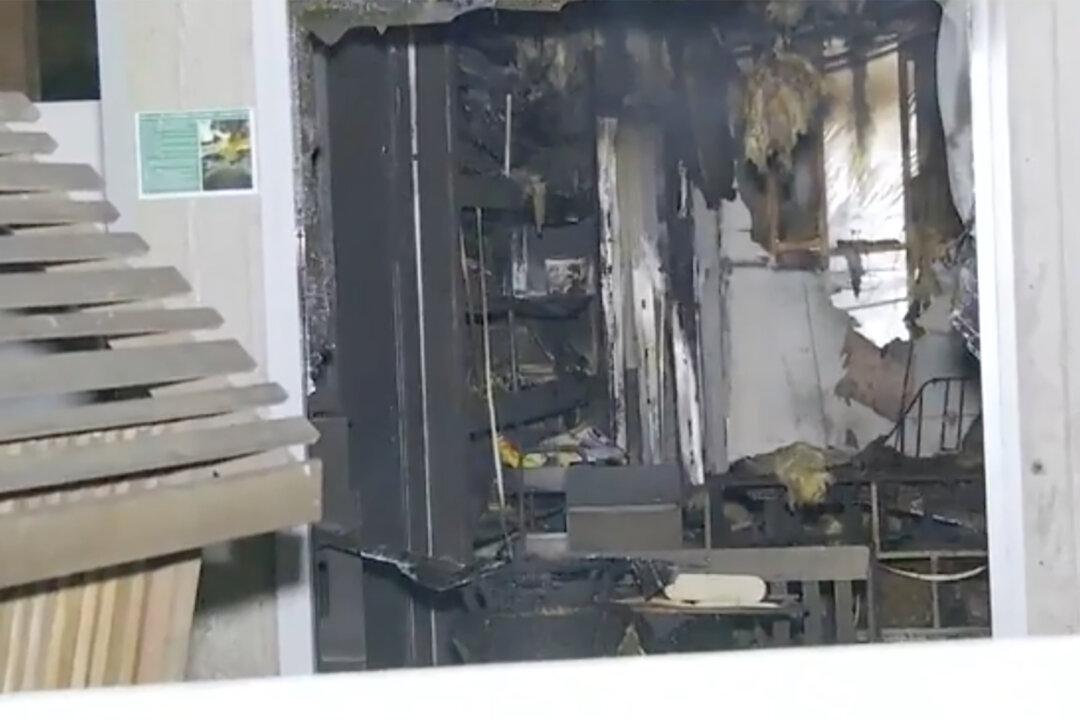 Jewish School Vandalised Overnight as Antisemitism Spree Hits 3 More Sites